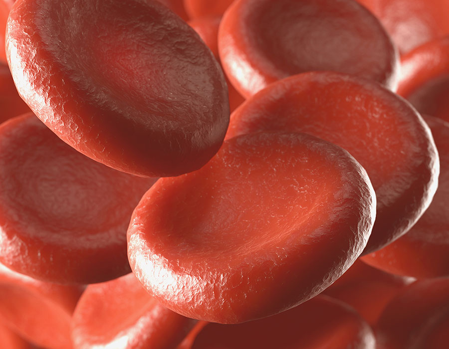 Os diferentes tipos de anemia