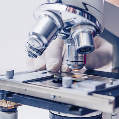 Microbiologia de alimentos